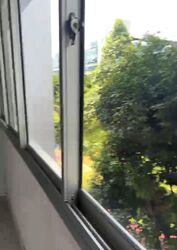 Blk 446 Bright Hill Drive (Bishan), HDB 4 Rooms #458348511